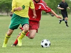 立博体育,资讯,立博体育官方,立博体育官方,立博体育在线官网,立博体育线上,立博体育APP