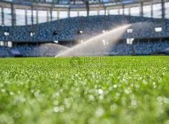 艾維受康寧,漢姆鼓舞,比賽初期發,立博体育官方,立博体育在线官网,立博体育线上,立博体育APP