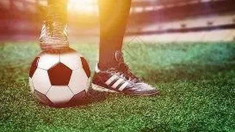 立博体育 资讯 143028 vwl