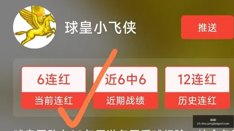 巴西杯战绩盘点立博体育App：5胜4负，数据解析指南